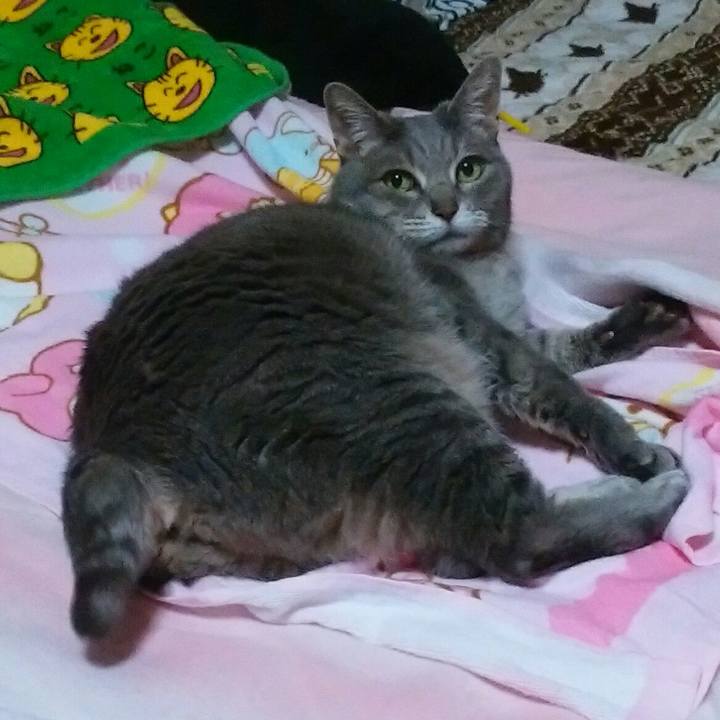 93ad038d ee1f 4b14 b233 13c463e44bdc 1585922261793