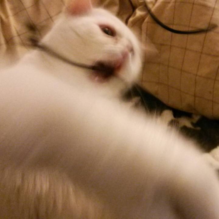 93ad0c25 79cd 4187 9d3f 0eab36a5a0b2 1514370069077