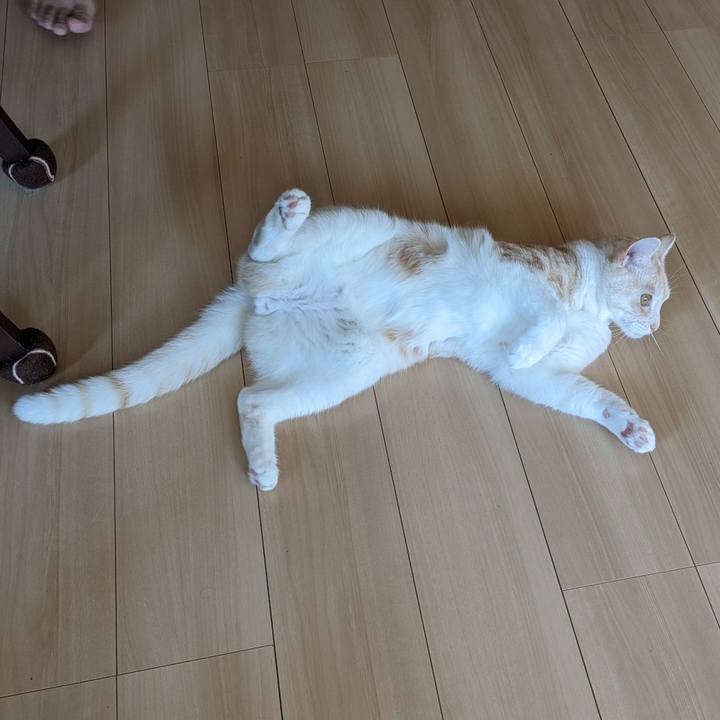 93ad66ef d98a 49ca b284 faaac00db22f 1689121007107