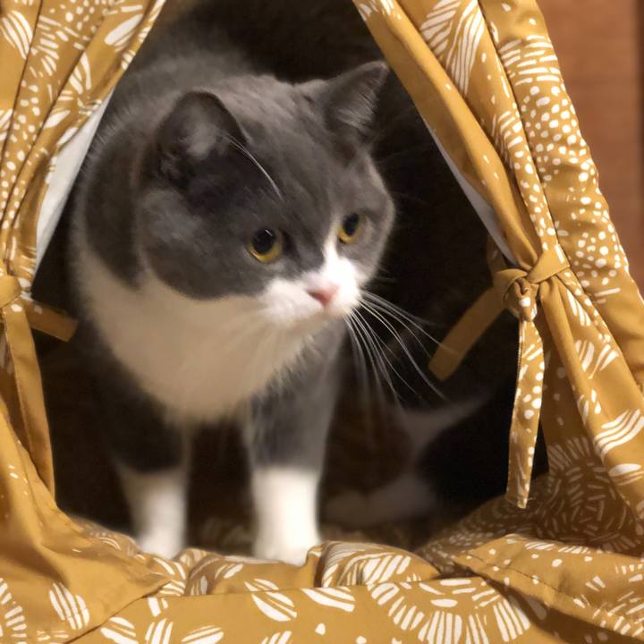 93adeb21 ae6d 4a5a a98b dbdb2416687c 1567165451980