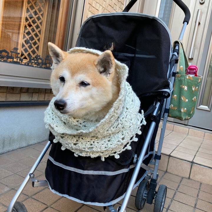 93ae1c83 dabd 4fe6 9430 b6cf7d1b807a 1638189463690