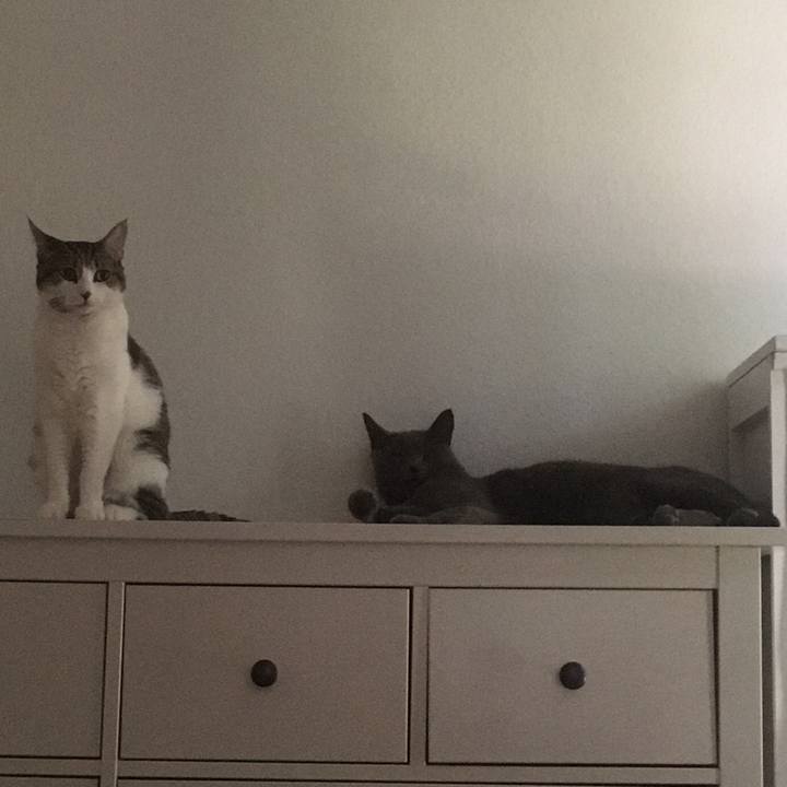 93ae4a7a e4ef 43c1 a137 a8465aefdd8b 1662395962621