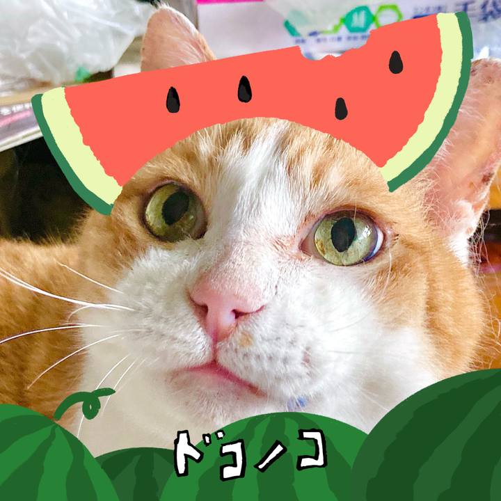 93ae9dd0 98db 4293 86e4 ce354985e5b3 1720793593374