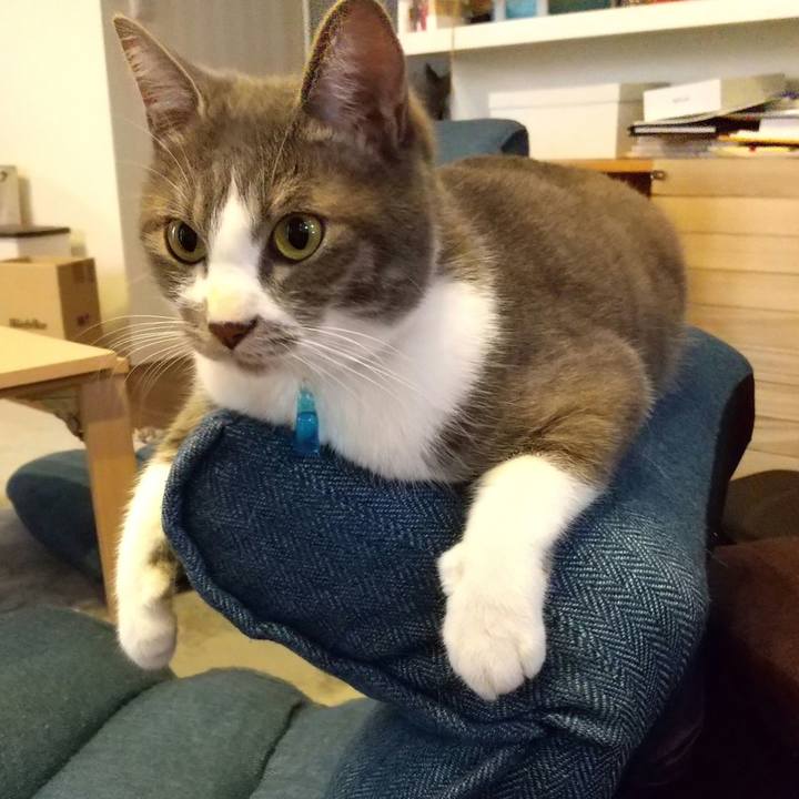 93aef6b6 3c81 44cc 9aa6 74640c0d7358 1601977725711