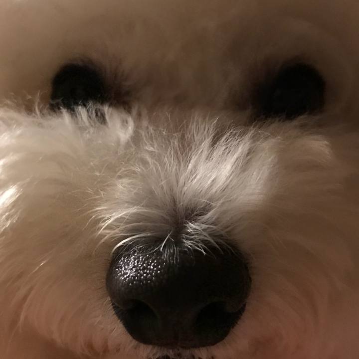 93aef745 e409 4bdd b128 3332ecb95e64 1540458182098