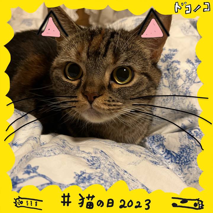 93af2d99 2b0b 44b6 a871 682a6c48c3f9 1676993730546