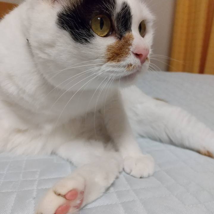 93af5555 475b 4655 ad49 d80e9e9582d9 1595597289545