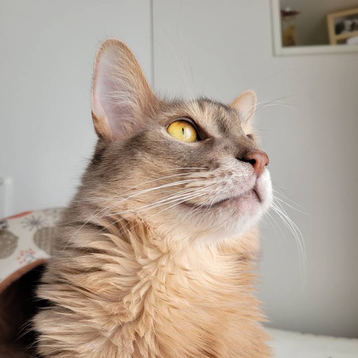 93afc226 991c 4e87 9247 6479bb5a7ea7 1642812211317