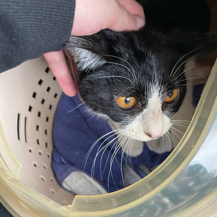 93afe1a0 61d4 4269 89a6 367718c7d4c1 1677224354401