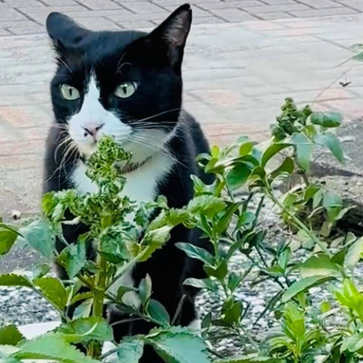 93afe6cd eec1 4728 bf86 2689ade0487b 1756866047906