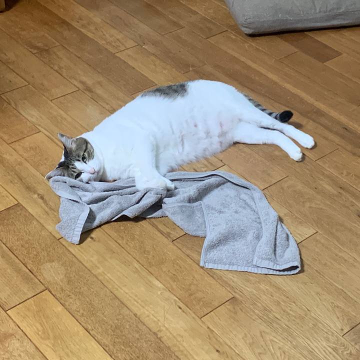 93afe6e1 aee2 4cce 960c e12751ae6921 1662844839264