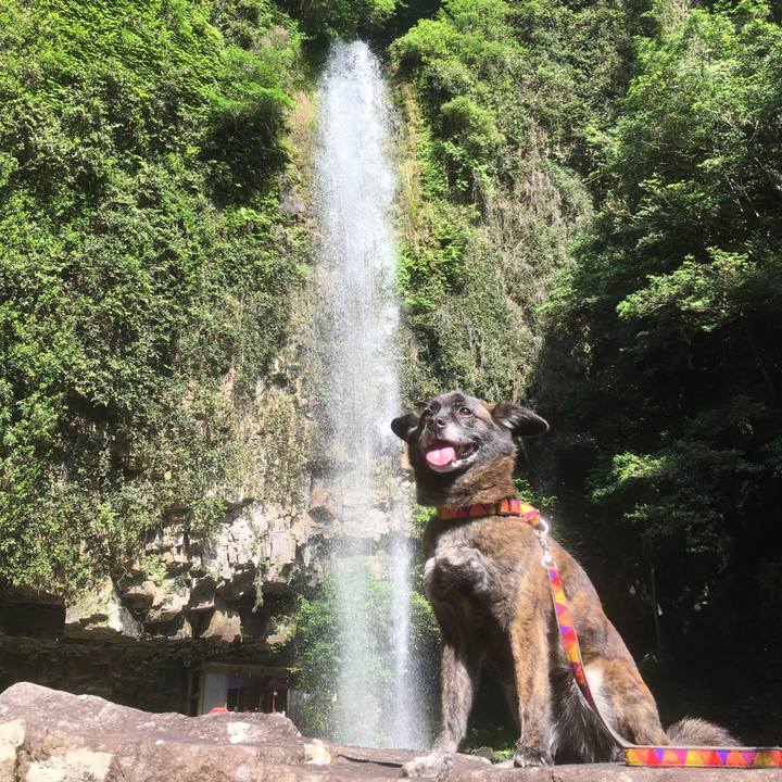 93aff8d5 ce3a 44d5 8bf5 9641861c78ba 1528125699666