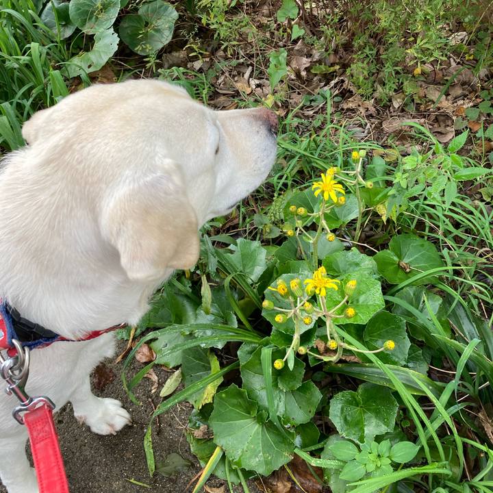 93b04417 ee11 4045 9dcb 2fef79cc6e47 1731804561271