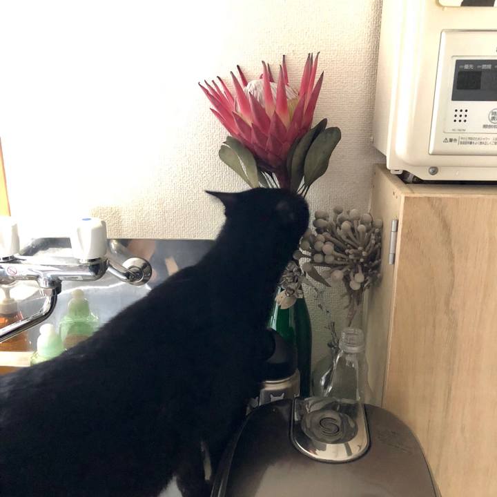 93b046fb 4a0c 43e1 a763 74753c322e5f 1538206992237