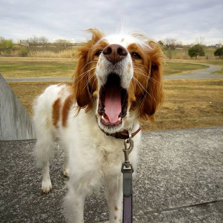 93b092cc 4c3c 4aa1 b22c c7170d79479e 1521332849988