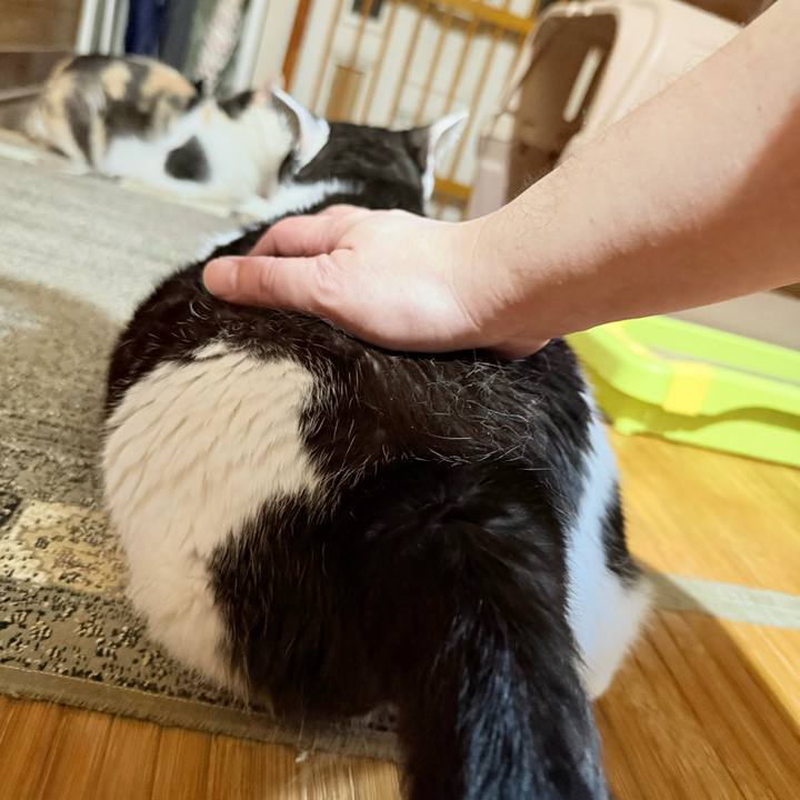 93b0e0eb 13d9 46c9 819c 33ae957e7b0d 1756087001434