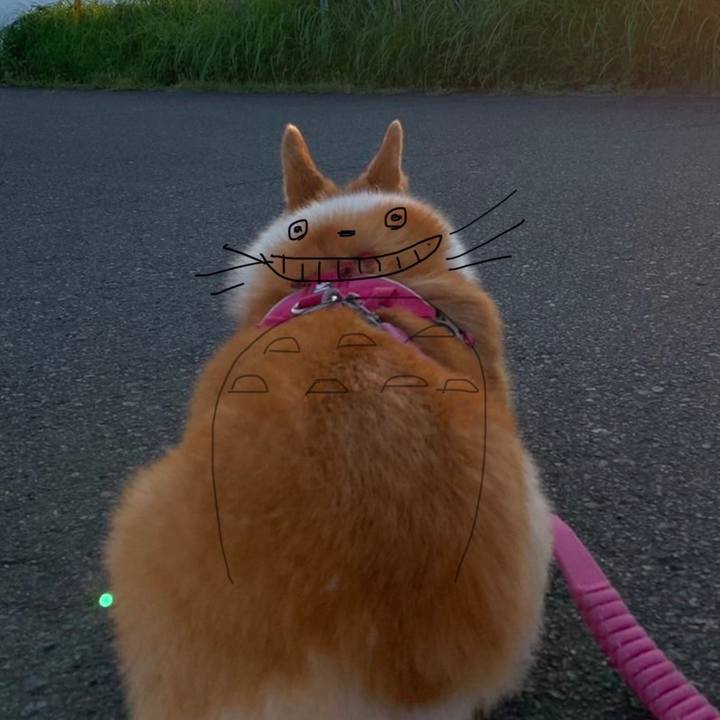 93b1031c 5f50 4196 b71e 837560f4cb01 1721638975752