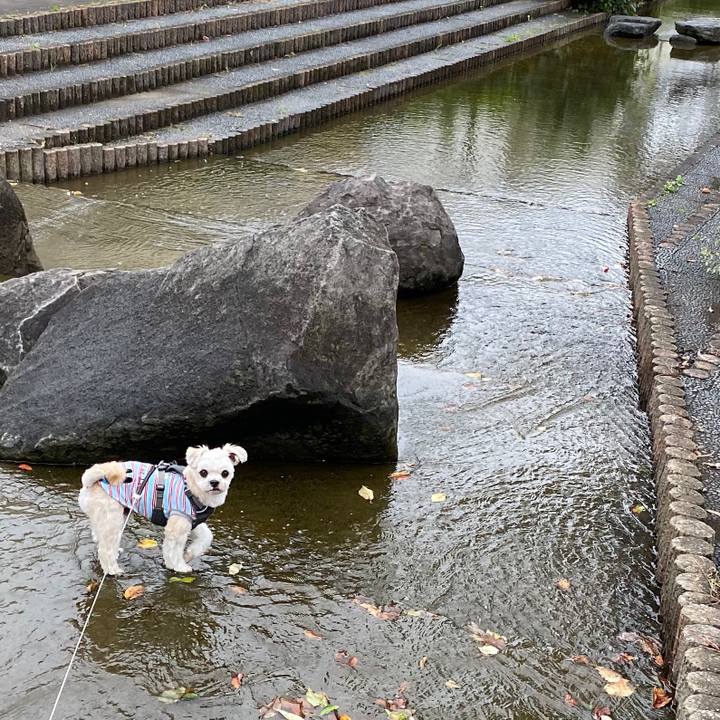 93b10a14 3a79 487e 89f7 10d227926d67 1571731111225