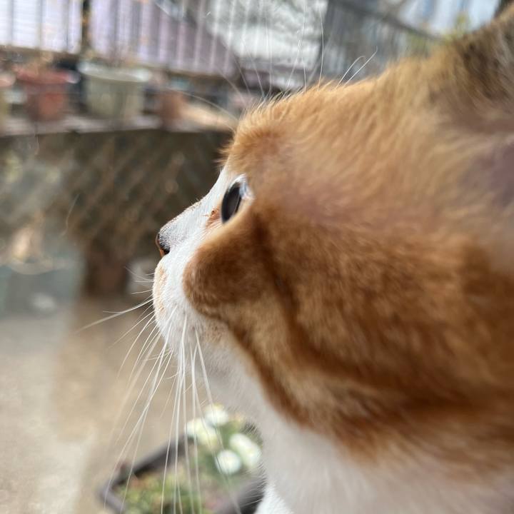 93b10def f52e 493f bb48 c3ddc9bc3c4c 1770454707575