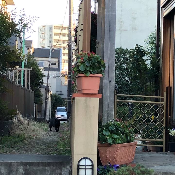 93b12a69 d7a6 4a72 9391 21a03f0335c5 1547988382016