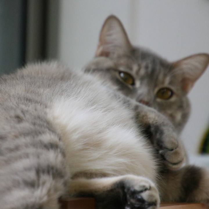 93b1aa33 8953 464d a6f5 c919665e91e6 1510915371997