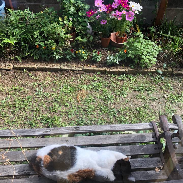 93b1f8dd 3923 4893 bd68 3baca30c04de 1603447612972