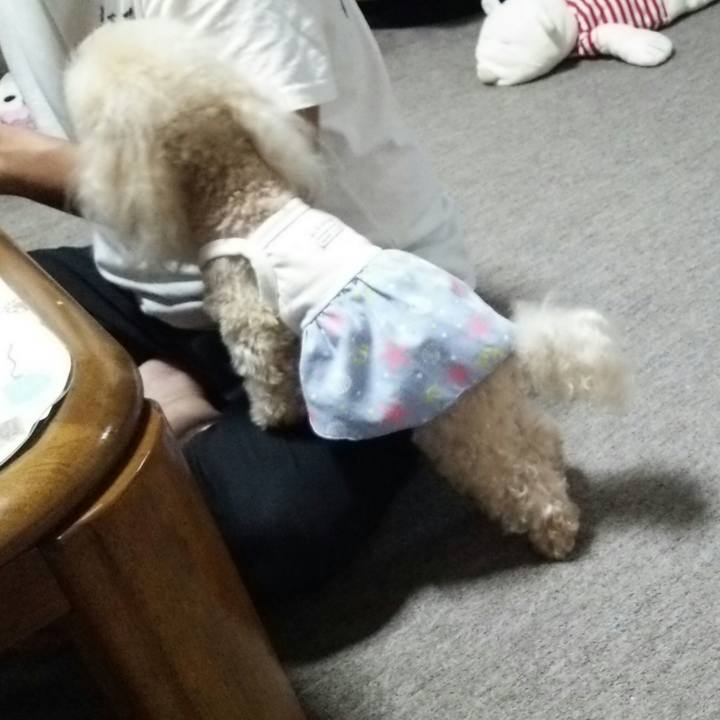 93b204c1 34ee 4110 9297 5ce2f4a79d3c 1536926027563