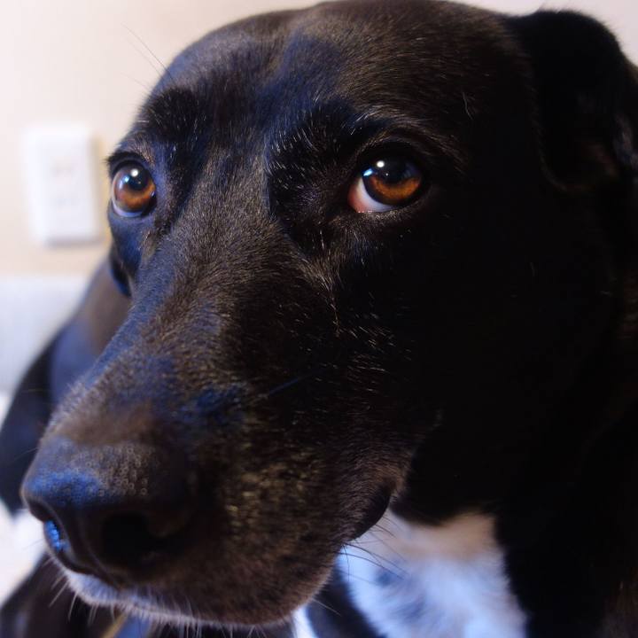 93b213ae 145f 4435 9436 fc10dddd3075 1693268886663