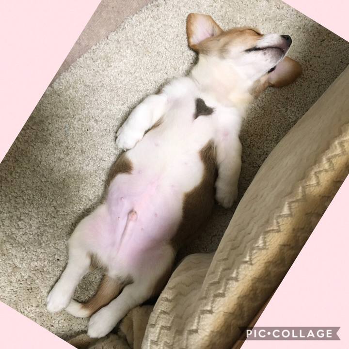 93b22941 17da 4aae b6b8 adef2c0652b6 1589847637973