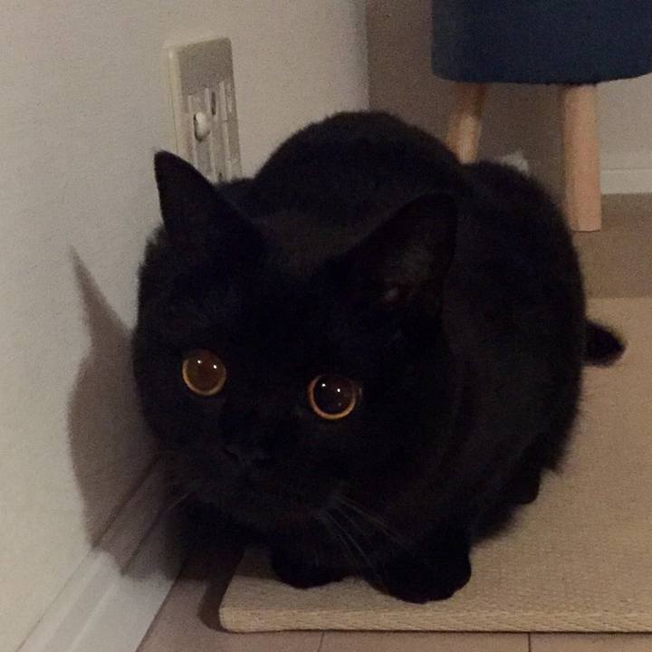 93b246d5 6d4b 467f 9042 8dd29b24e340 1534851432801