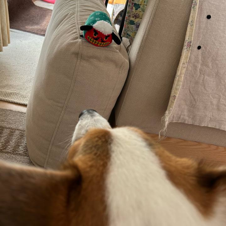 93b24ac6 0753 43ee a8ee 32e3e72d48ef 1767715524985