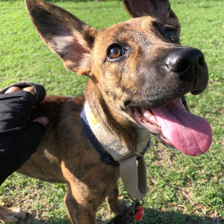 93b28037 fbc6 4529 abb8 472aa43212ef 1570281020700