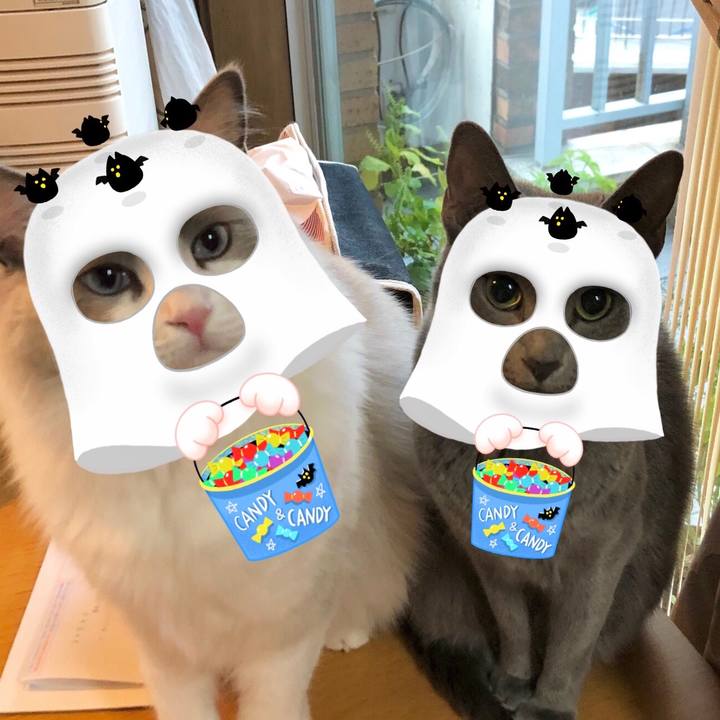 93b28fbd 291e 4c12 a215 492294cc81f3 1604143898662