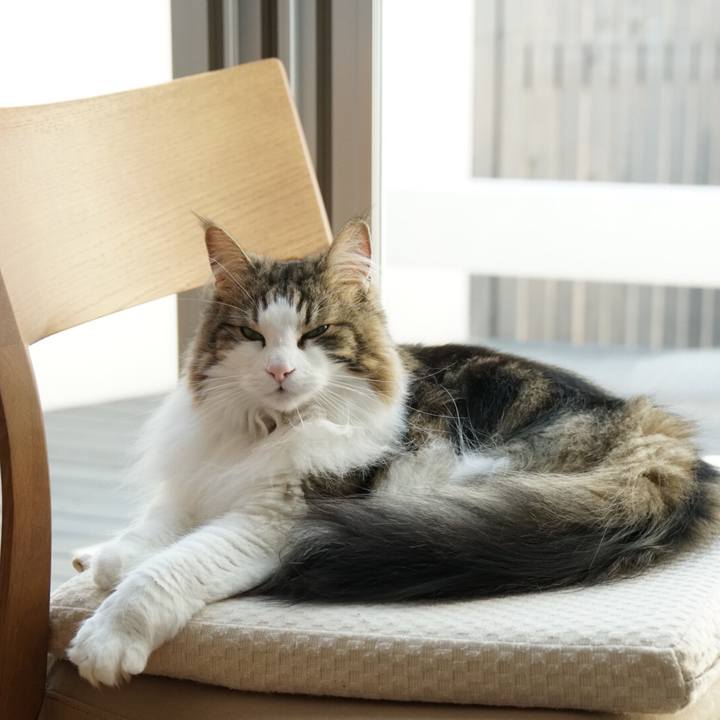 93b29b04 06bf 4e60 94e6 57ce76042f5b 1552641803460