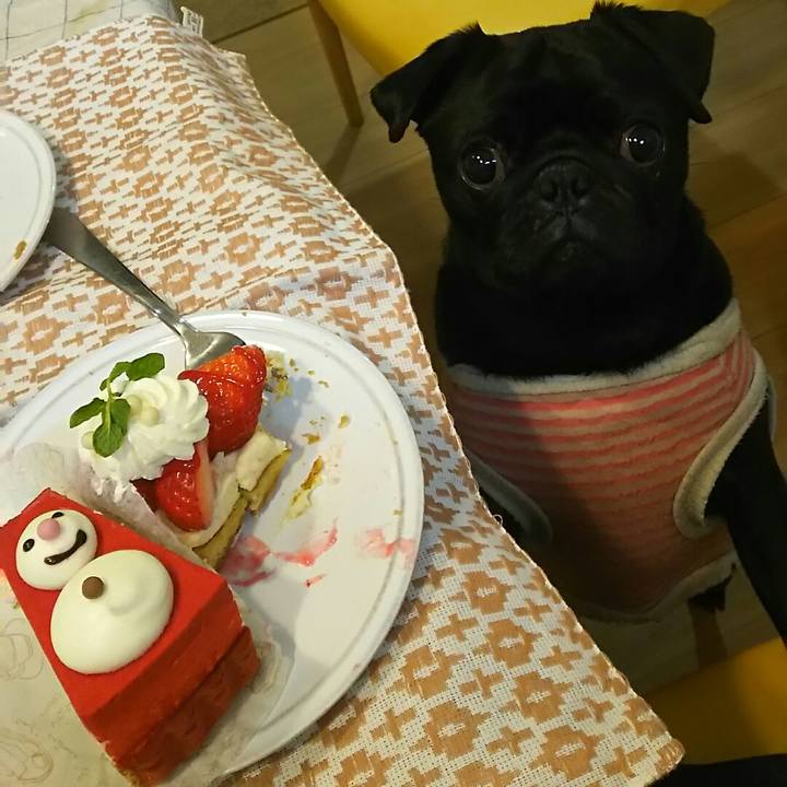 93b2b88f 4221 4a70 a437 aaa83d39c5c6 1548934564716