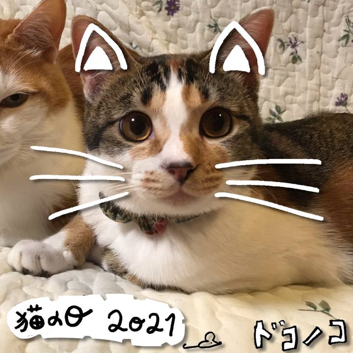 93b3025d fc50 4df2 a672 7bc208e92737 1613992421472