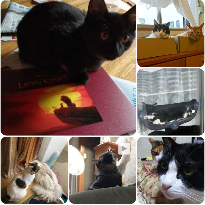 93b3082b 13a4 48cd 92d1 07ae21f7630e 1568797763912