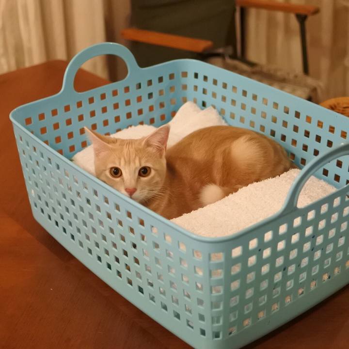 93b309a6 cbb3 4ef2 be3c 71a9e3db6b14 1553176720472