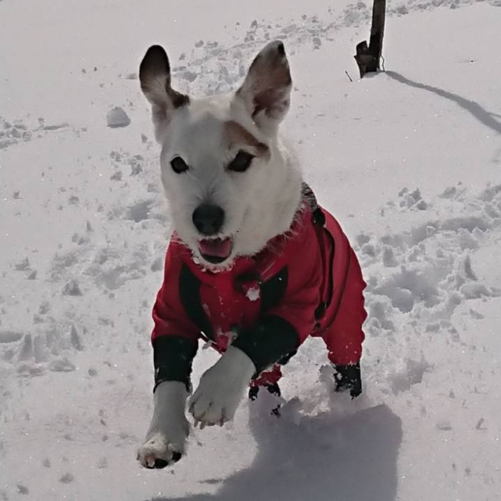 93b31956 7972 4074 8a93 a10d57578323 1549269736998