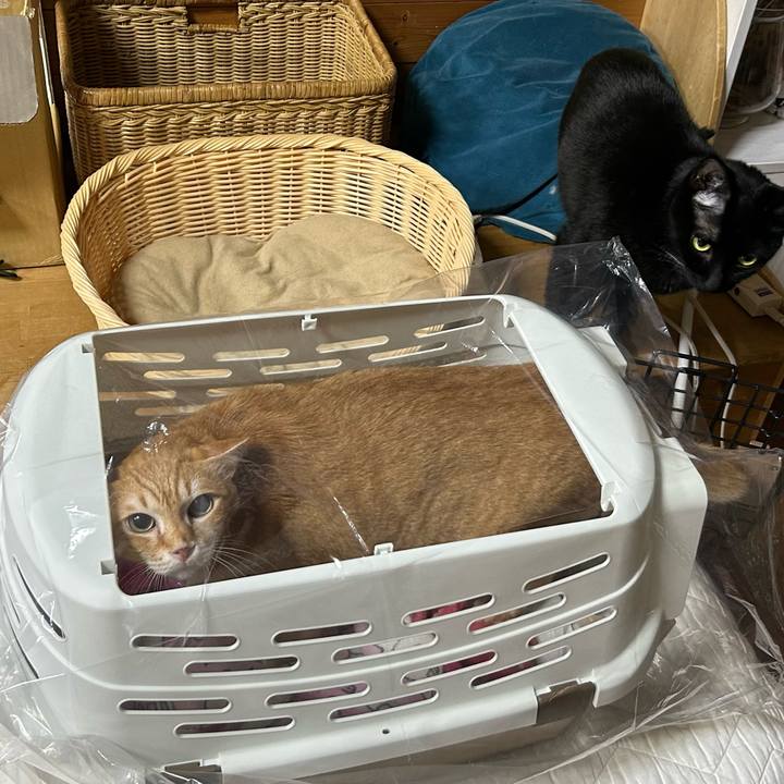 93b378a7 b8ef 47be 92cd 8e664cf610e6 1676726777566