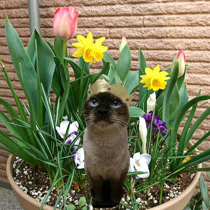 93b386ea a01b 4d35 b812 3c75e2b012c5 1557060804176