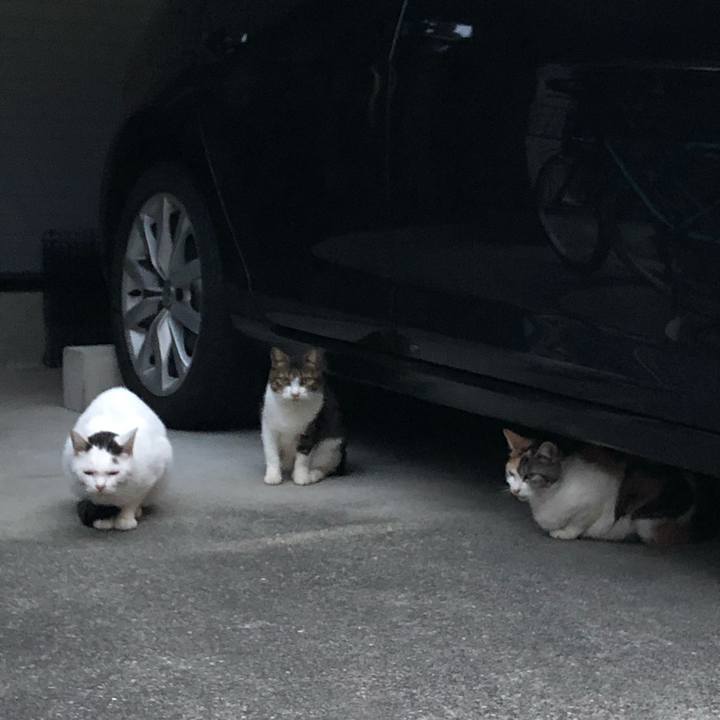 93b3b53a b7ec 46c8 9784 c7691a452305 1572729406109