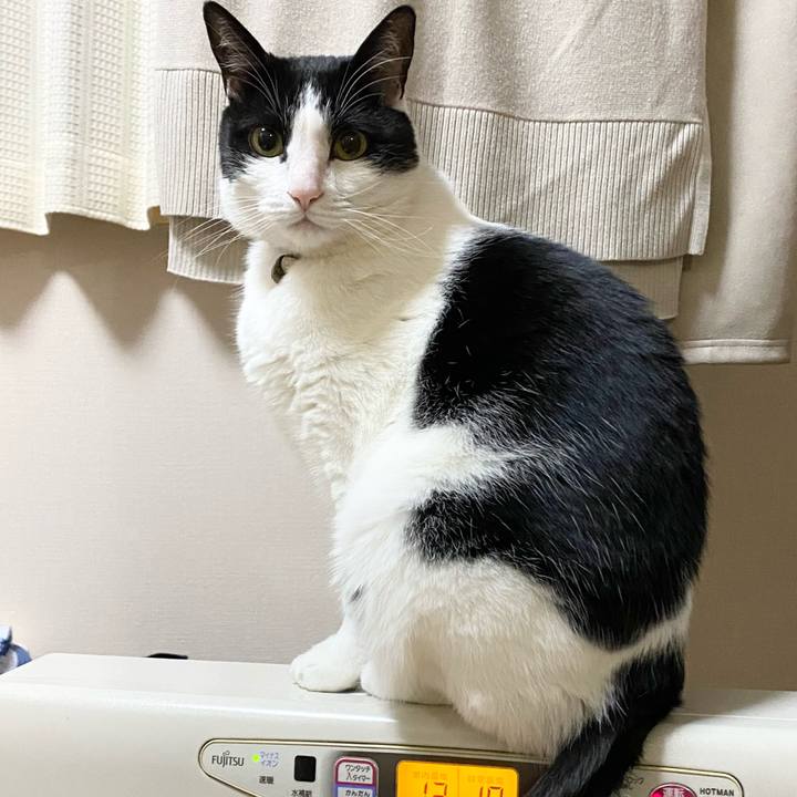 93b3d30e ac10 45d6 bebe c9d8efa088f1 1613693531751