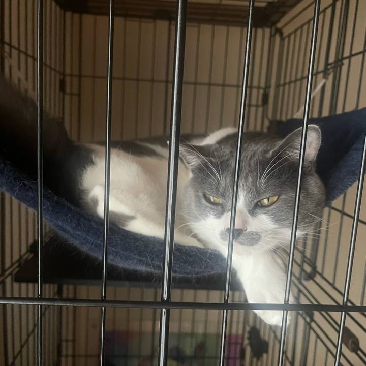 93b4022c 6cbb 463e 836f b05249bc1d02 1628837057672