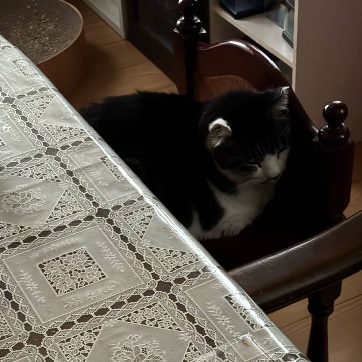 93b4053c 71e5 4a47 a150 100954976eb3 1761118350763