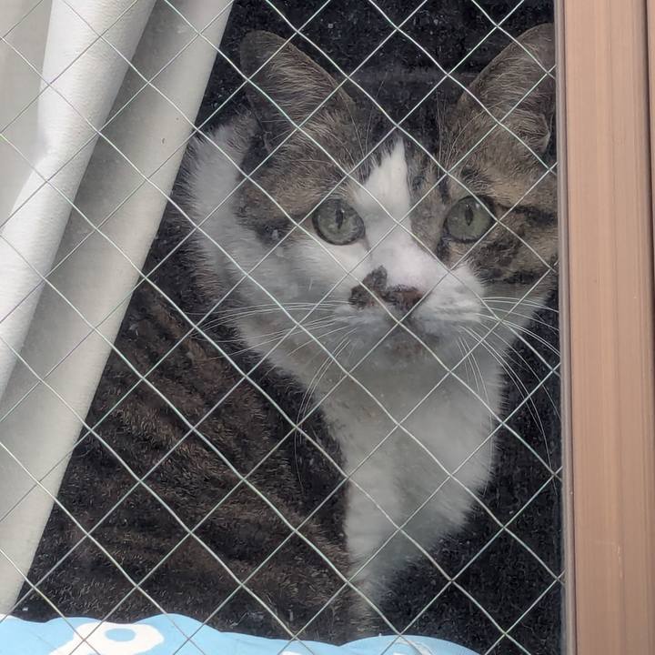 93b41c67 7f97 4c12 8578 9d97035adf57 1769661444378