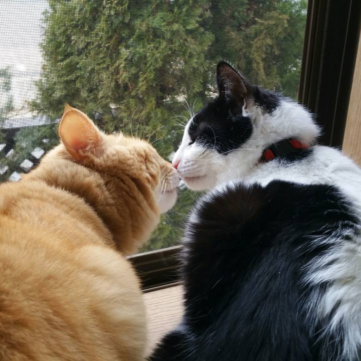 93b42430 79f0 40ca 88bf 8b16c09261e3 1553643933641