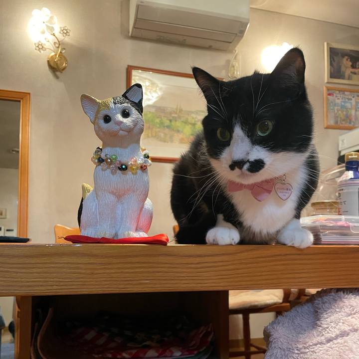 93b4317d 0dd2 4737 ae79 0608fc360d5e 1746620843094