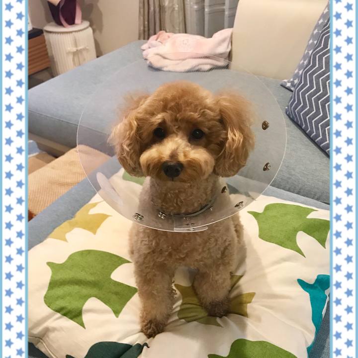 93b43b33 f96e 49de 8a93 26e9c9067250 1541854293978