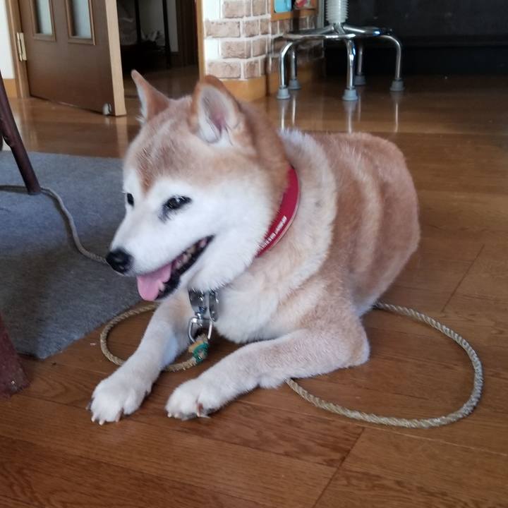 93b46b62 fa9c 4b8d 9584 bab6c7da3a0f 1723879392926